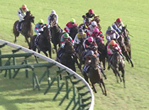 データをそろえて自分で分析したい!